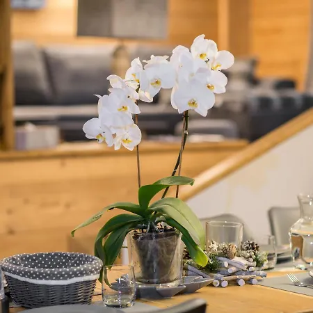 A 1850, 3 Chambres, 6 Pers., Parking - Fr-1-564-42 Daire Courchevel